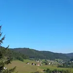 Schwarzwaldstuebchen 