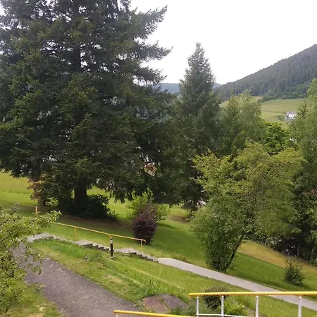 Apartment Schwarzwaldstuebchen 