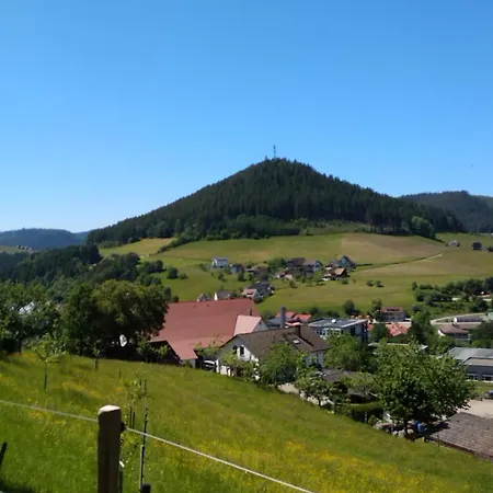 Apartment Schwarzwaldstuebchen 