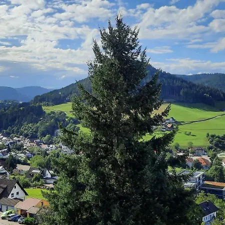 Apartamento Schwarzwaldstübchen Altas Montañas Mit Schwimmbad